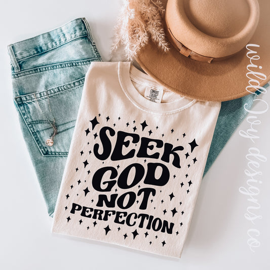 Seek God Not Perfection