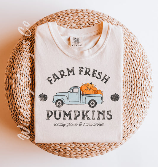 Farm Fresh Pumpkins